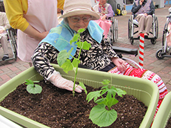 利用者が植物を植える様子 写真